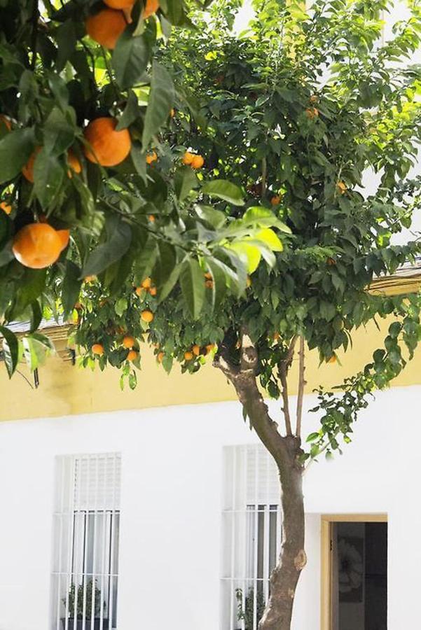 Apartamento Costasol Córdoba Exteriér fotografie